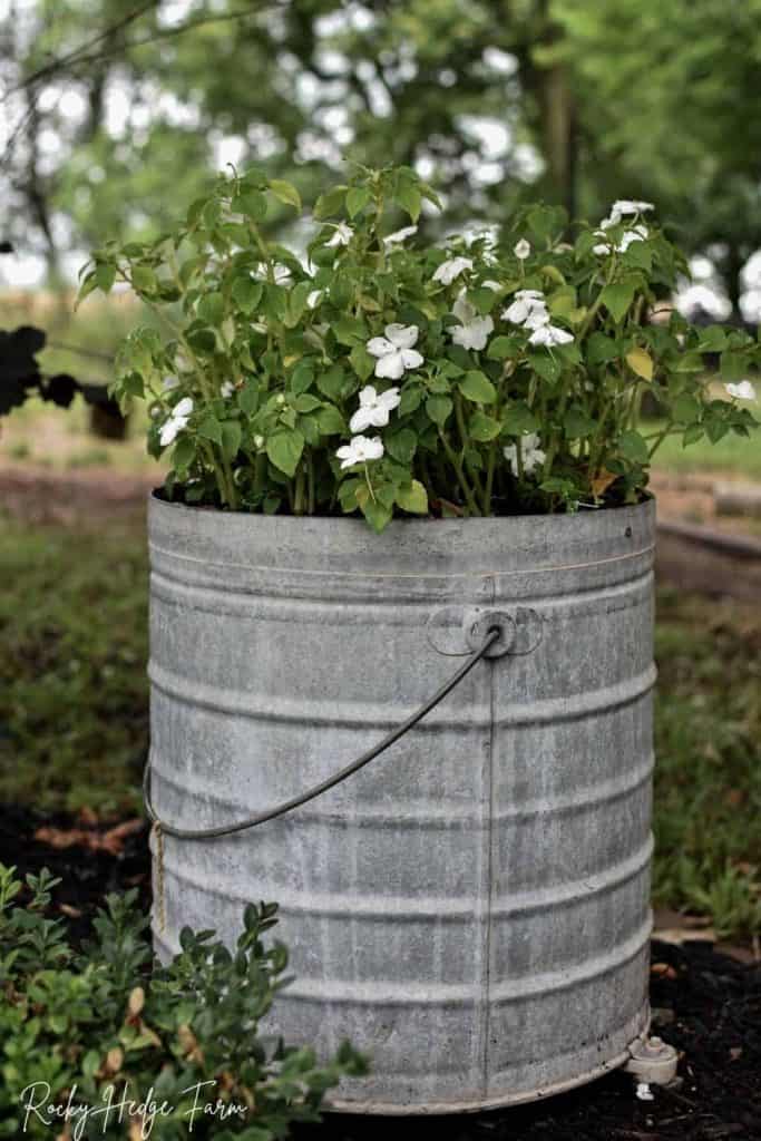 galvanized rustic planter