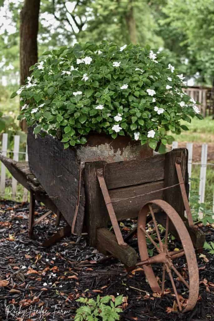 wooden wheelbarrow planter