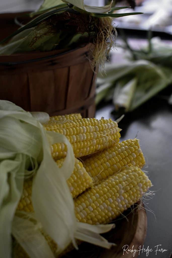 Farm Fresh Corn