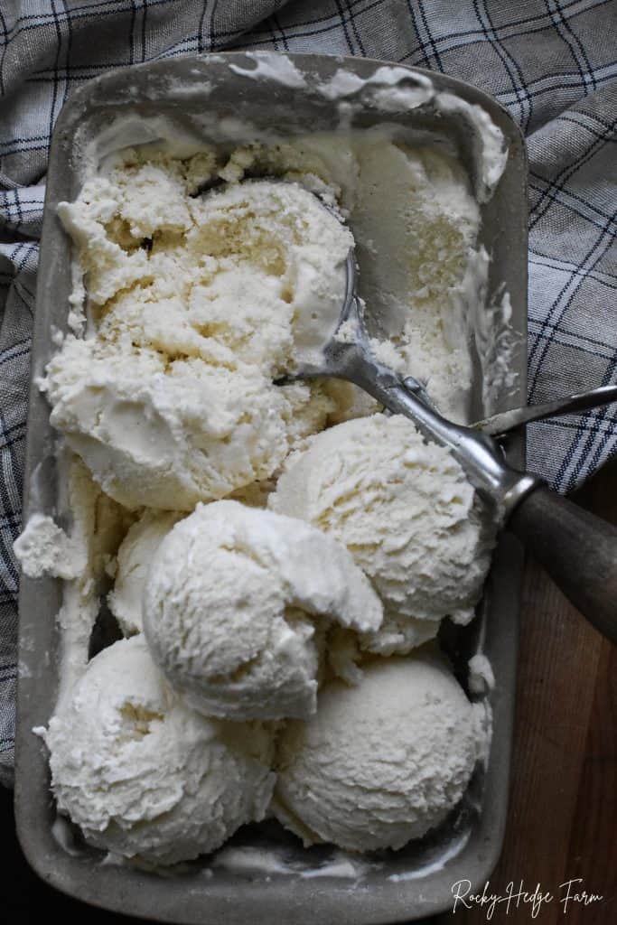 Hand Scoop Vanilla Bean