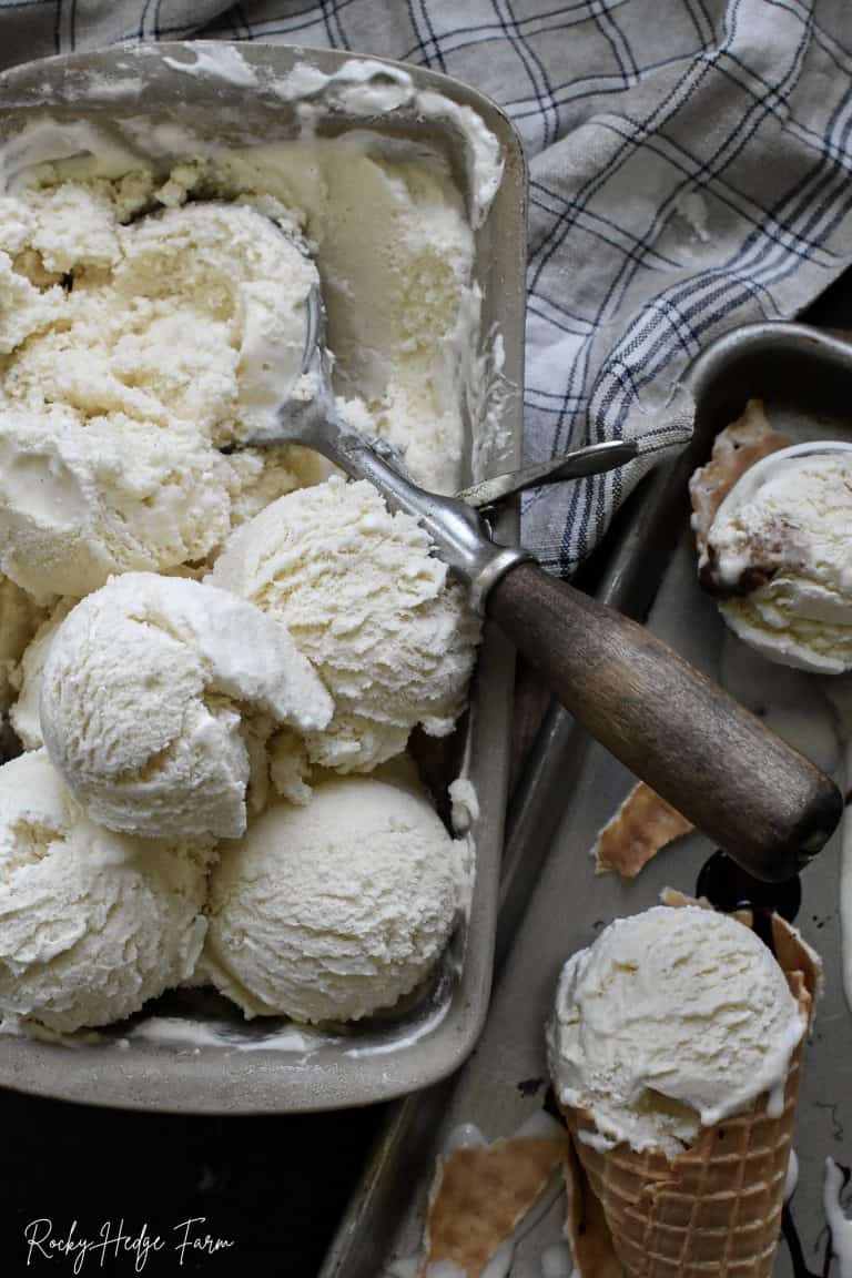 Homemade Vanilla Bean Ice Cream Recipe with No Eggs