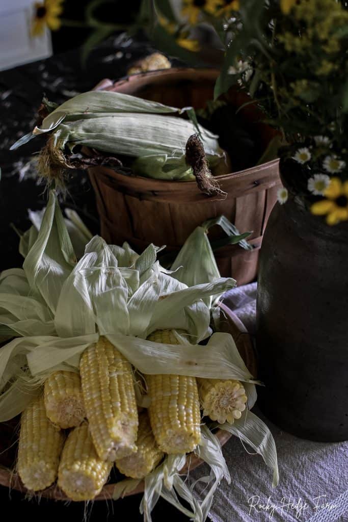 Summer Fresh Corn