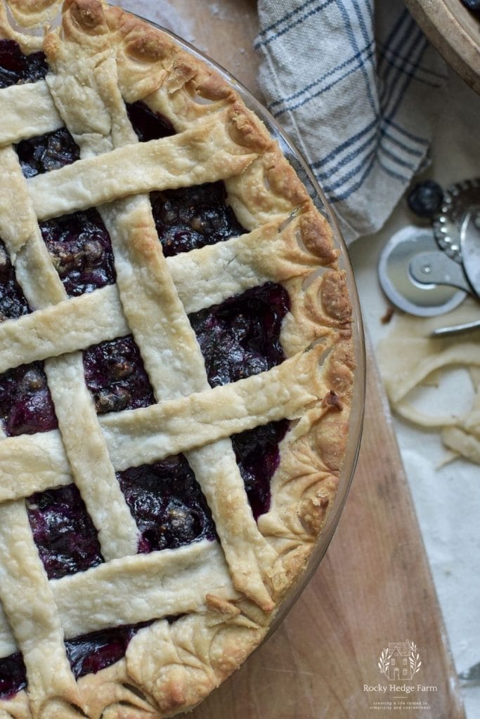 baked blueberry pie in a pie plate