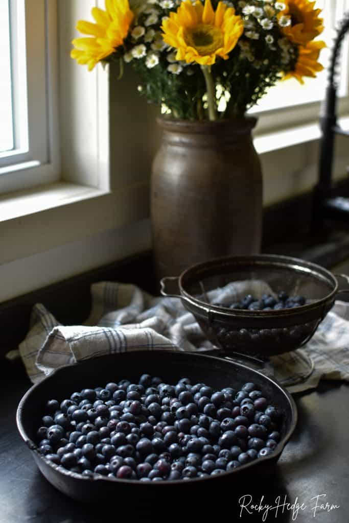 Blueberry Crisp Recipe