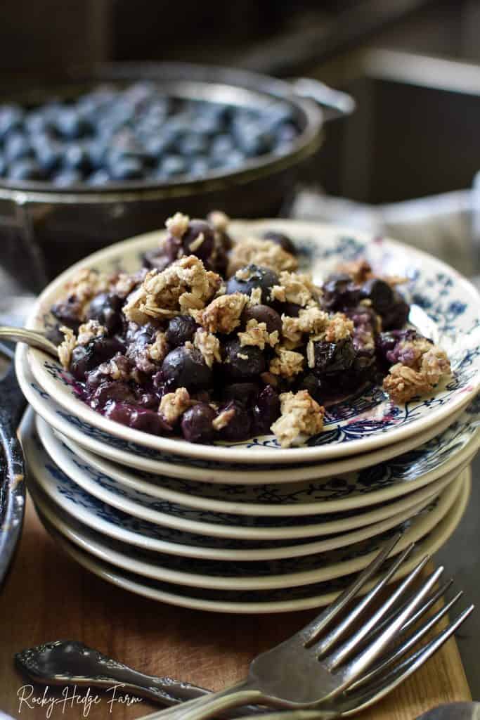 Best Blueberry Crisp Recipe