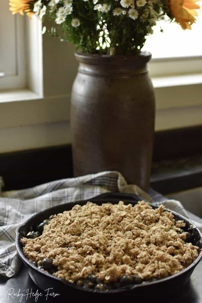 Best Blueberry Crisp Dessert