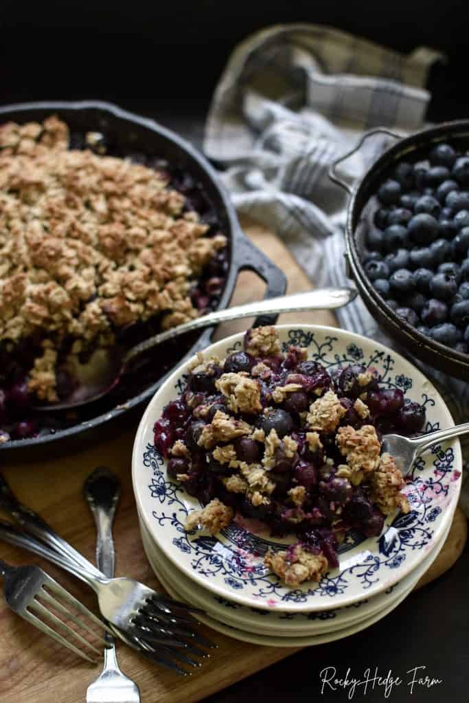 Best Blueberry Crisp Recipe