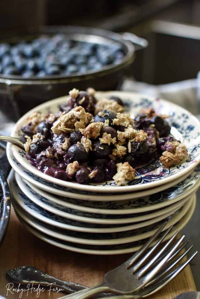 Best Blueberry Crisp Recipe