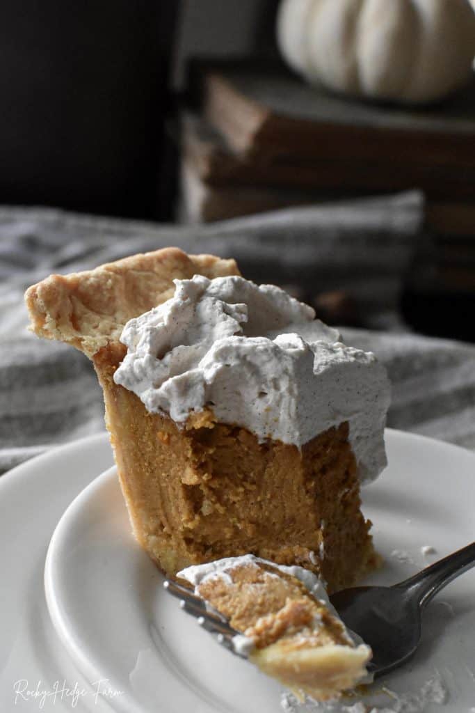 Best Pumpkin Pie Recipe