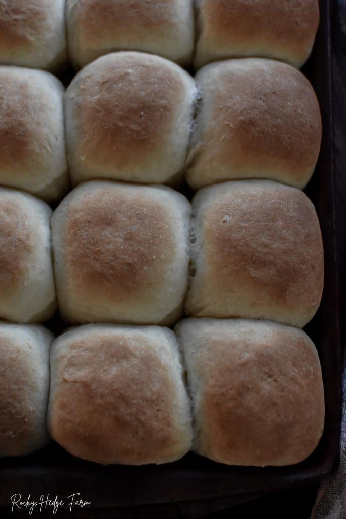 buttery soft rolls