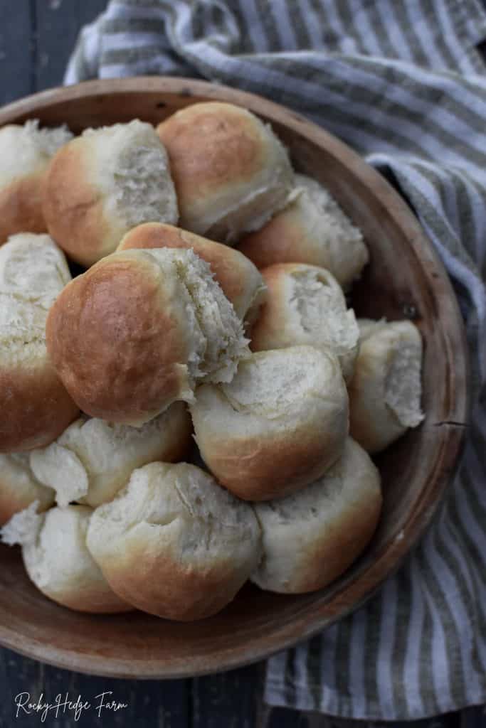 dinner roll recipe