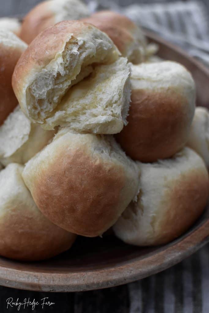 Dinner Rolls