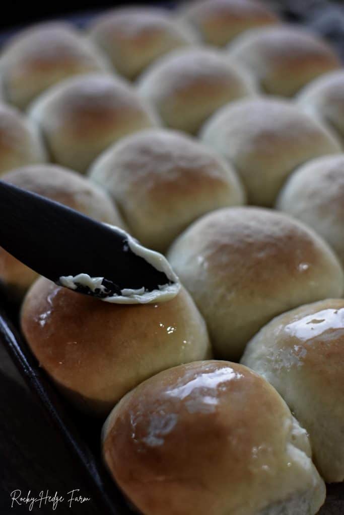 easy bread rolls