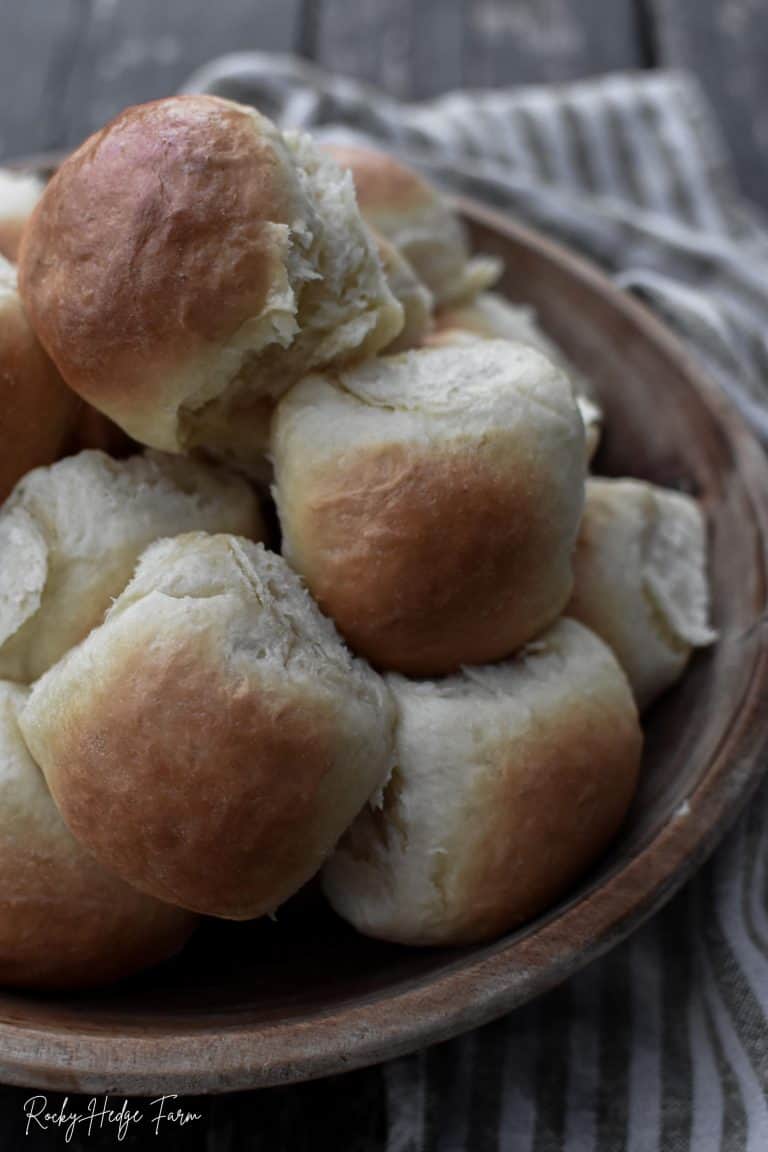 easy dinner rolls recipe