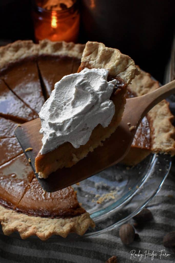 Pumpkin Pie Ingredients