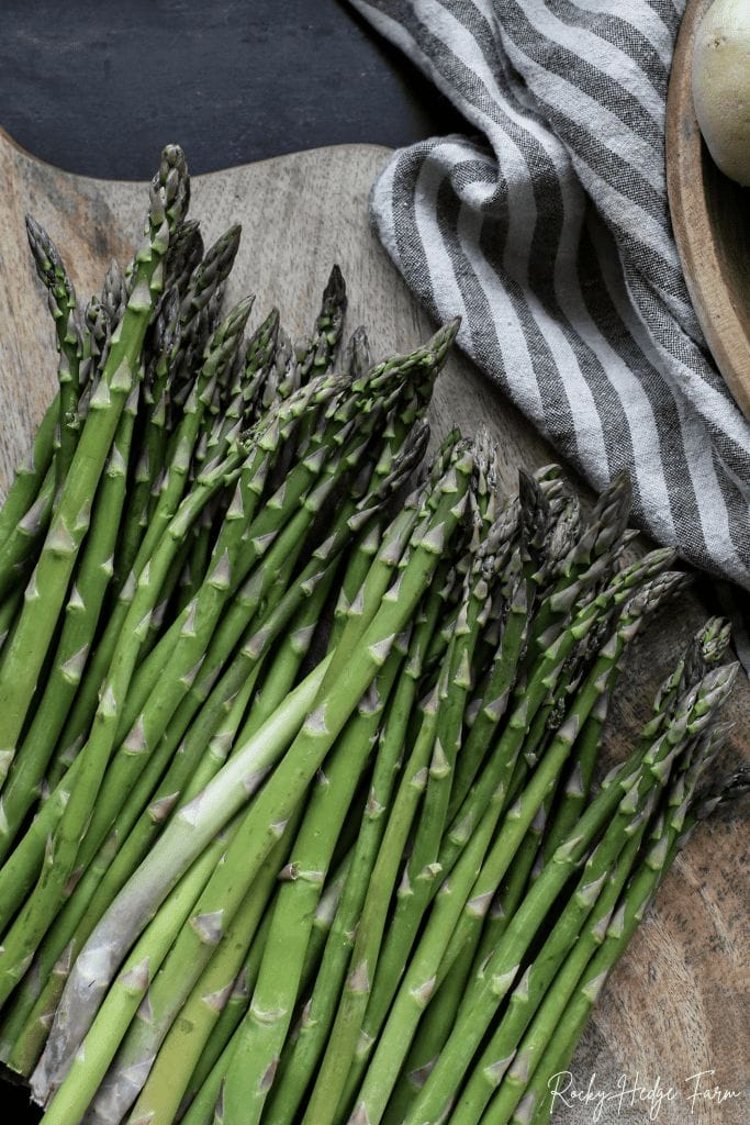 Fresh Asparagus Spears