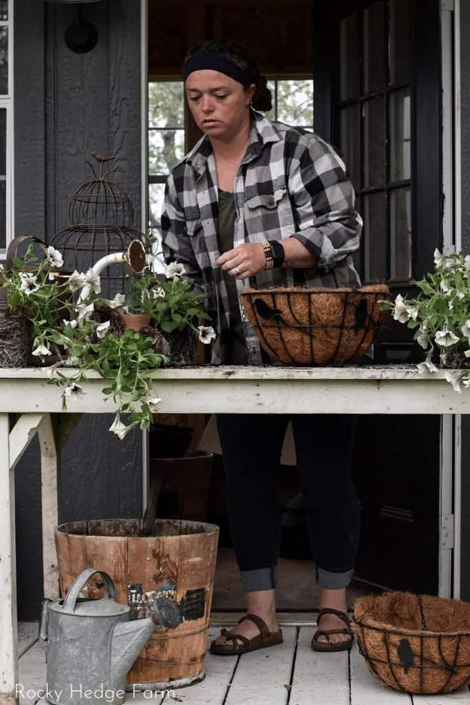 Petunia Hanging Basket