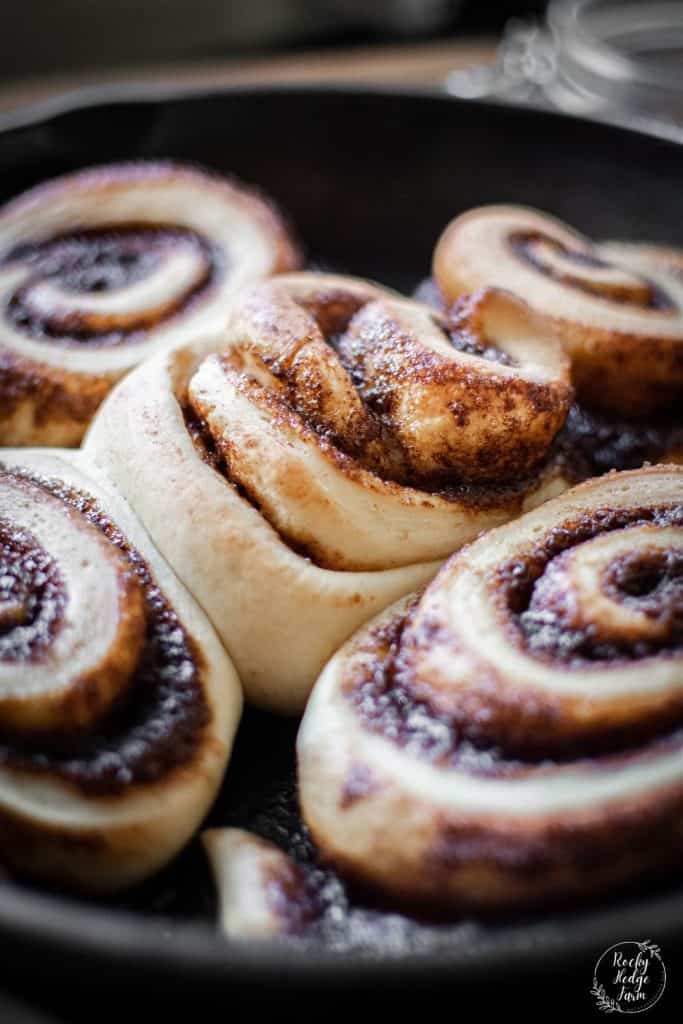 Cinnamon Rolls in Cast Iron Skillet