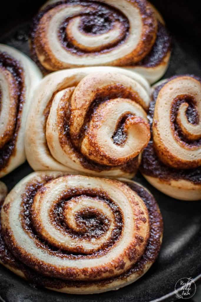 Cinnamon Rolls