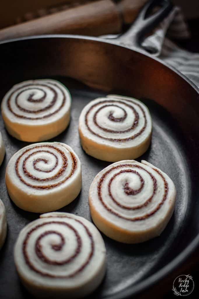 Cinnamon Rolls Rising in Cast Iron Skillet