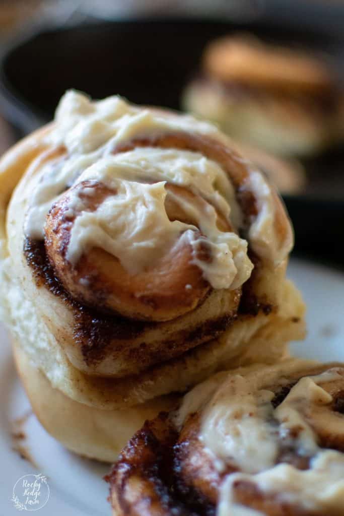 Maple Frosted Cinnamon Roll