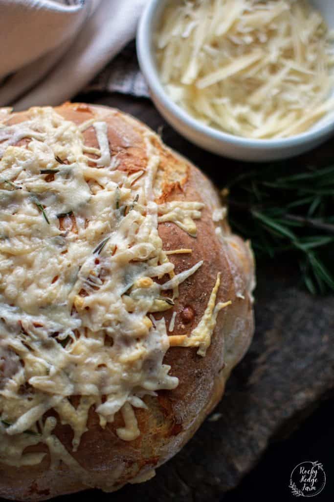 Overnight Rosemary Dutch Oven Bread - The Savory Cipolla