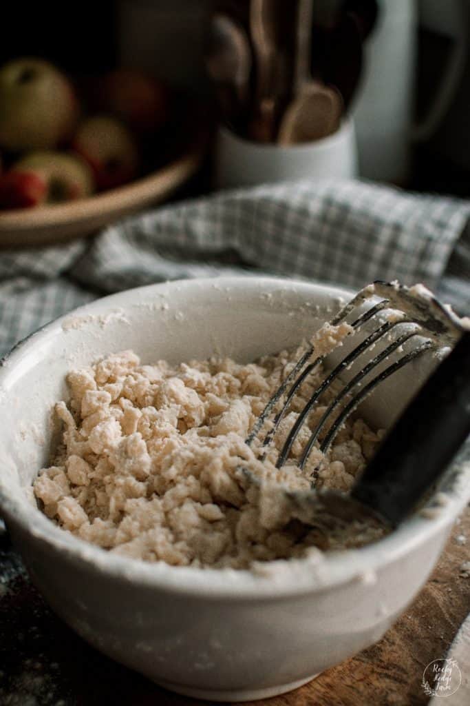 A bowl with lard pie crust dough