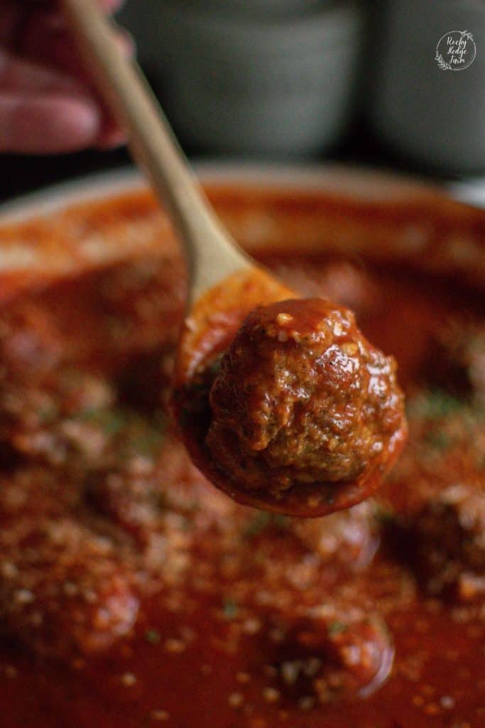 An Italian covered in homemade tomato sauce on a wooden spoon.