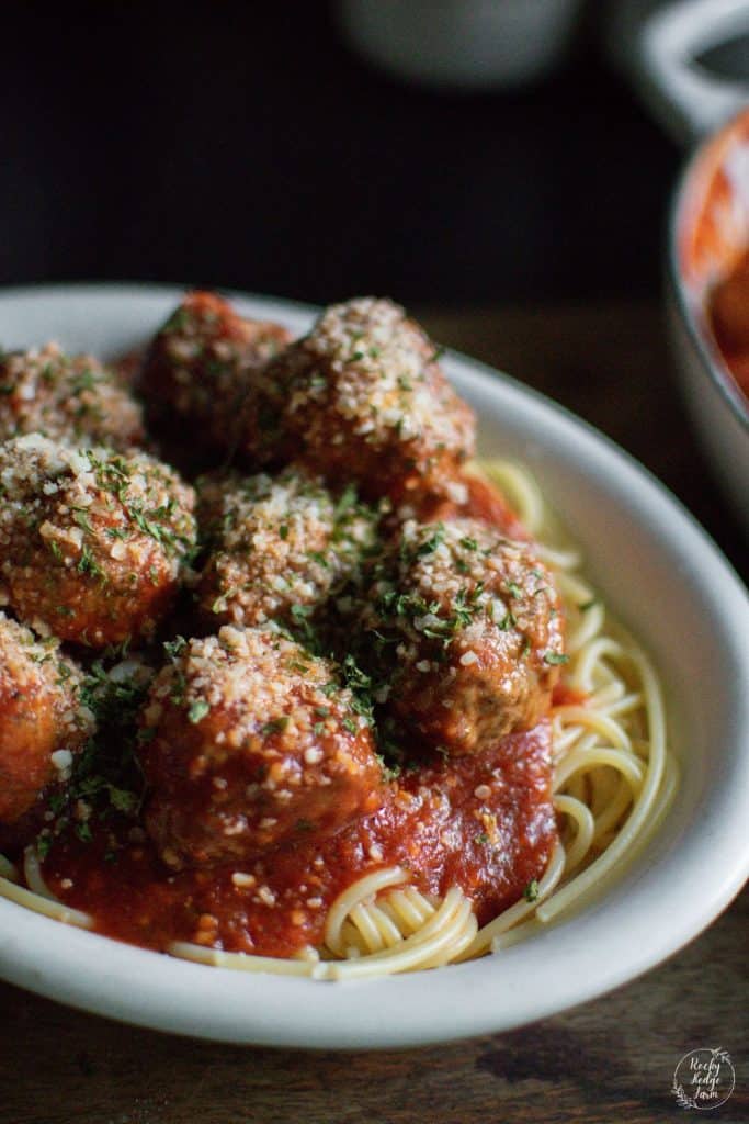 Italian meatballs and sauce with spaghetti noodles.