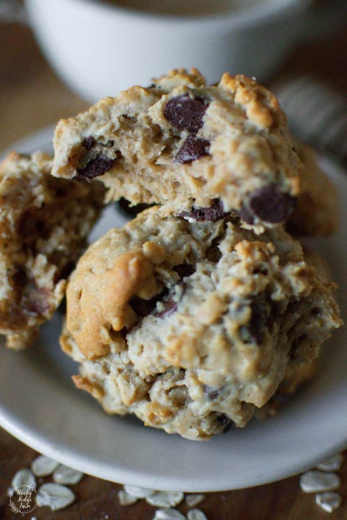 A freshly baked cookie made with oats, honey and chocolate chips.