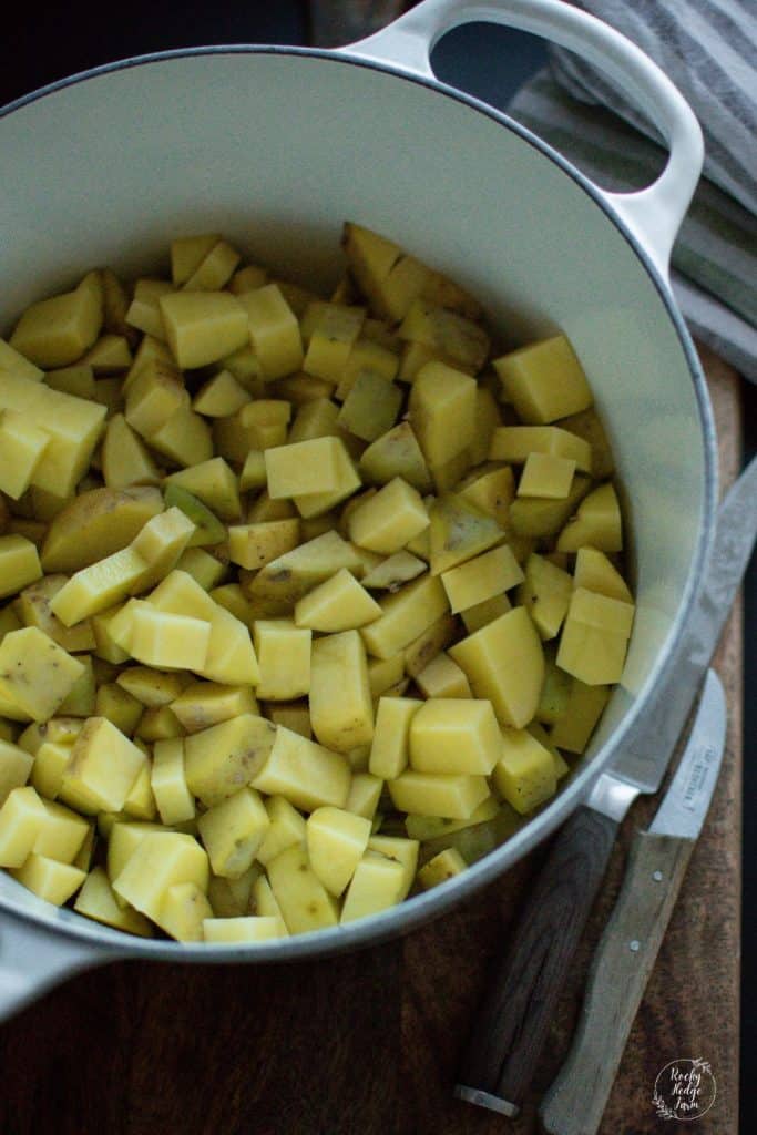 Potatoes in a large dutch oven to boil for potato salad.