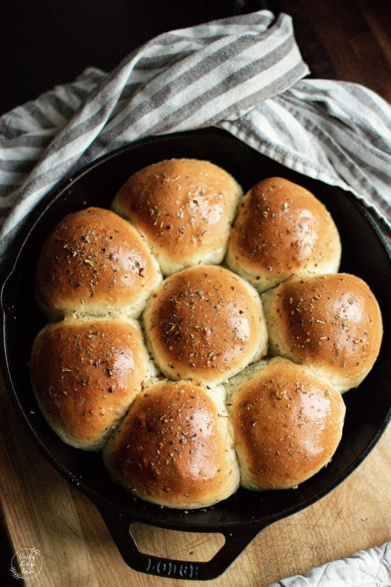 Homemade Rosemary Garlic Dinner Rolls Recipe