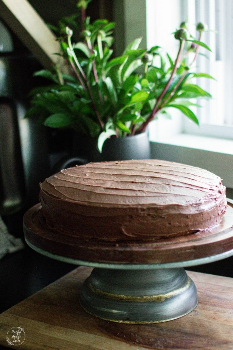 Best Sourdough Chocolate Cake Recipe with Discard