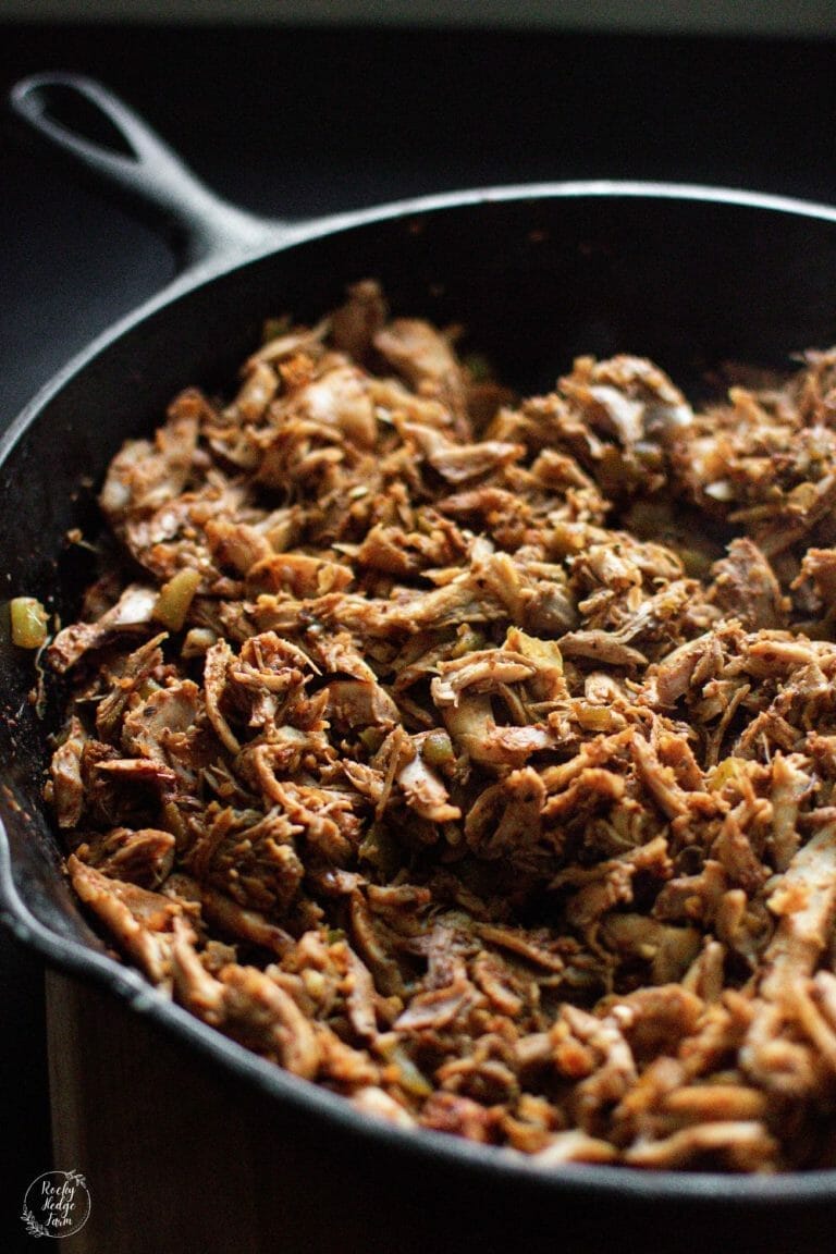 Easy Mexican Shredded Chicken for Tacos Recipe