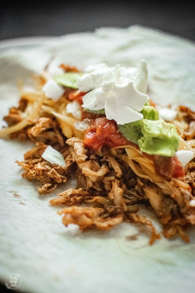 Juicy and tender shredded chicken tacos served on a warm tortilla with toppings such as guacamole, pico de gallo, and sour cream.
