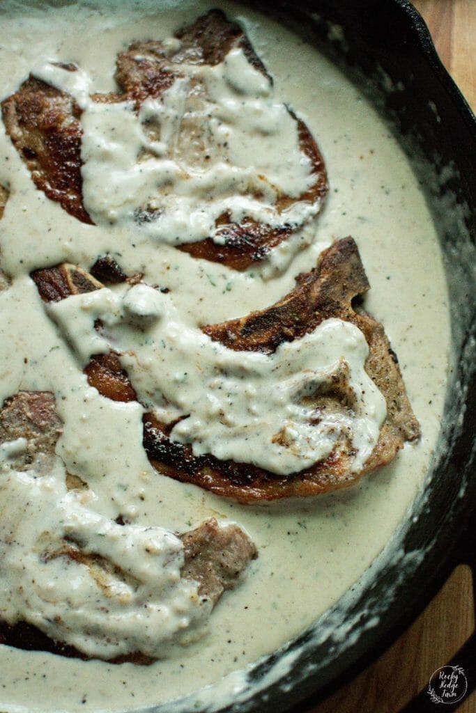 Cast Iron Skillet Pork Chops With Creamy Sauce Rocky Hedge Farm 