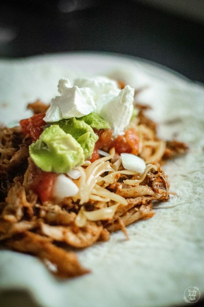 Delicious shredded chicken tacos served on a soft tortilla with toppings such as lettuce, tomatoes, and cheese.