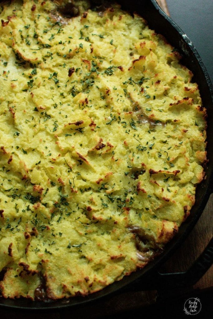 A homestyle Shepherd's Pie, featuring a delicious blend of seasoned ground beef, sweet corn, and creamy mashed potatoes, baked to perfection in a cast iron skillet