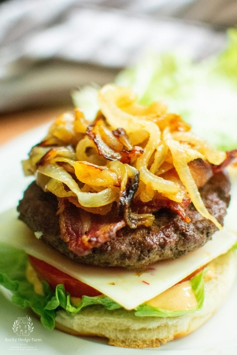 burger on a bun with cheese, caramelized onion and lettuce with tomato