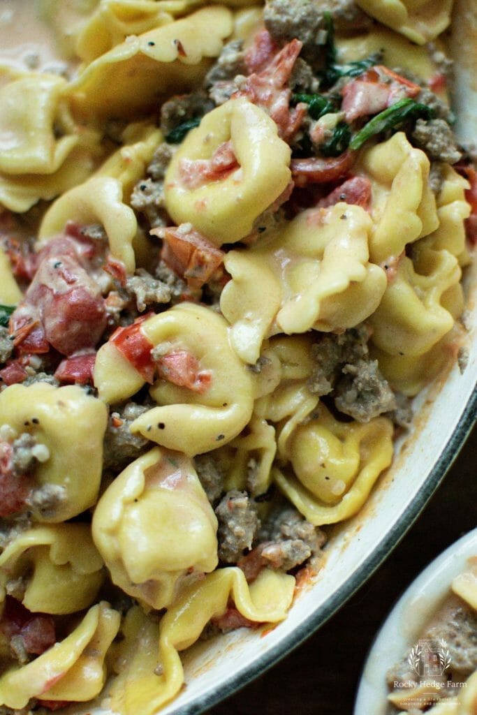 A scrumptious combination of cheese tortellini, fire-roasted tomatoes, and creamy sauce in a skillet.