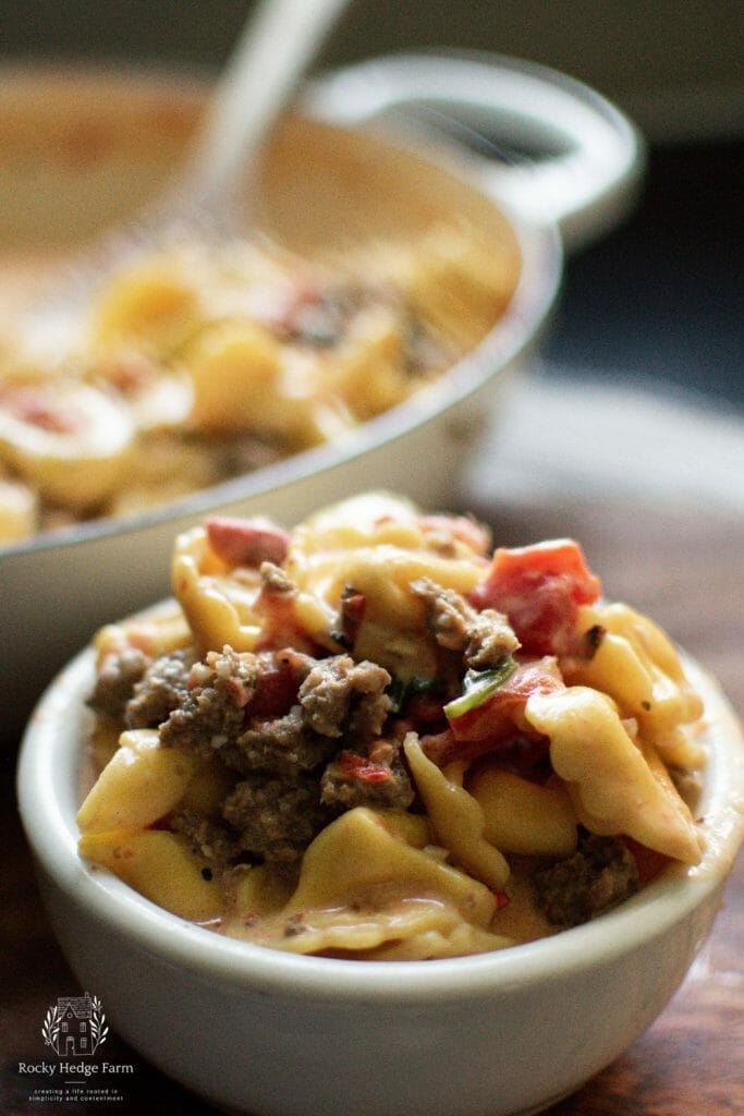 
An appealing bowl of creamy tortellini with Italian sausage.