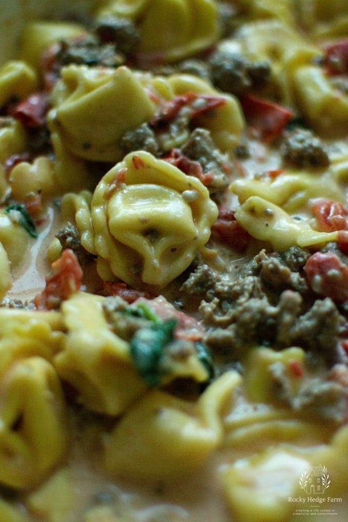 A colorful and flavorful skillet meal featuring creamy tortellini and Italian sausage.