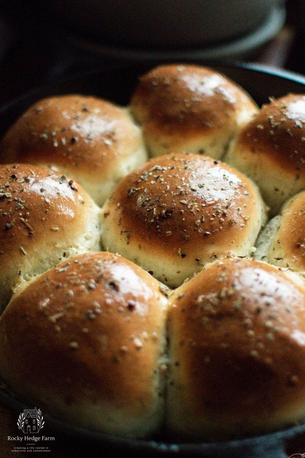 rosemary garlic dinner rolls in a cast iron skillet