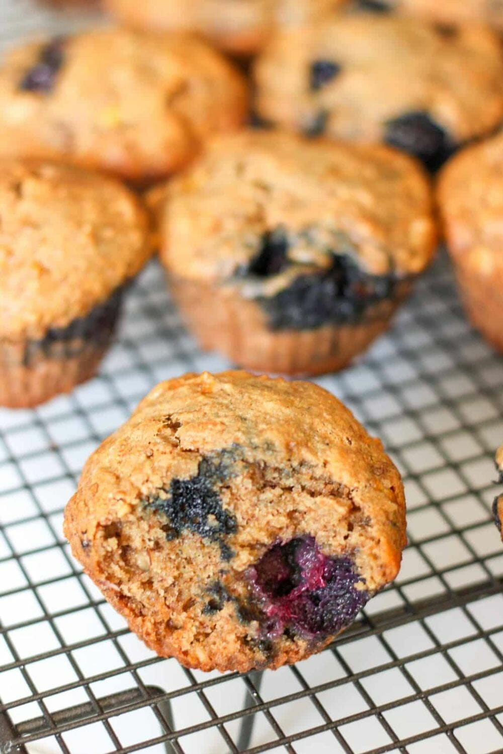 65 Healthy Blueberry Dessert Recipes - Rocky Hedge Farm