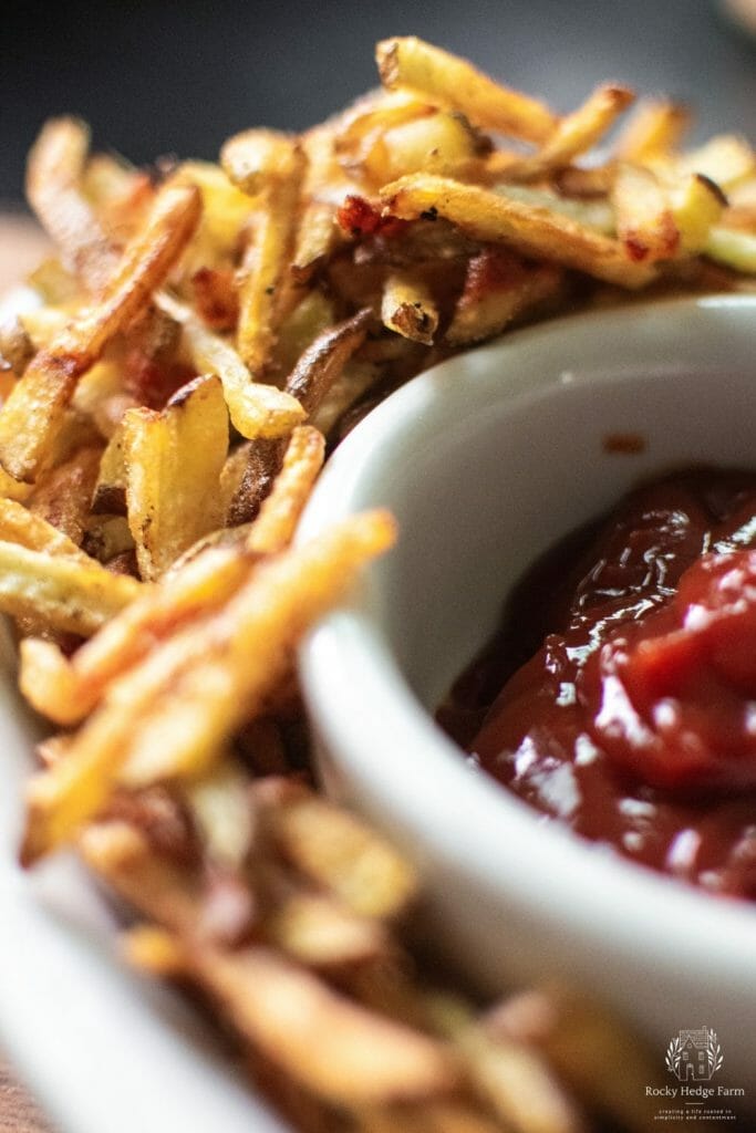 Crispy french fries on a plate with a bowl of ketchup.