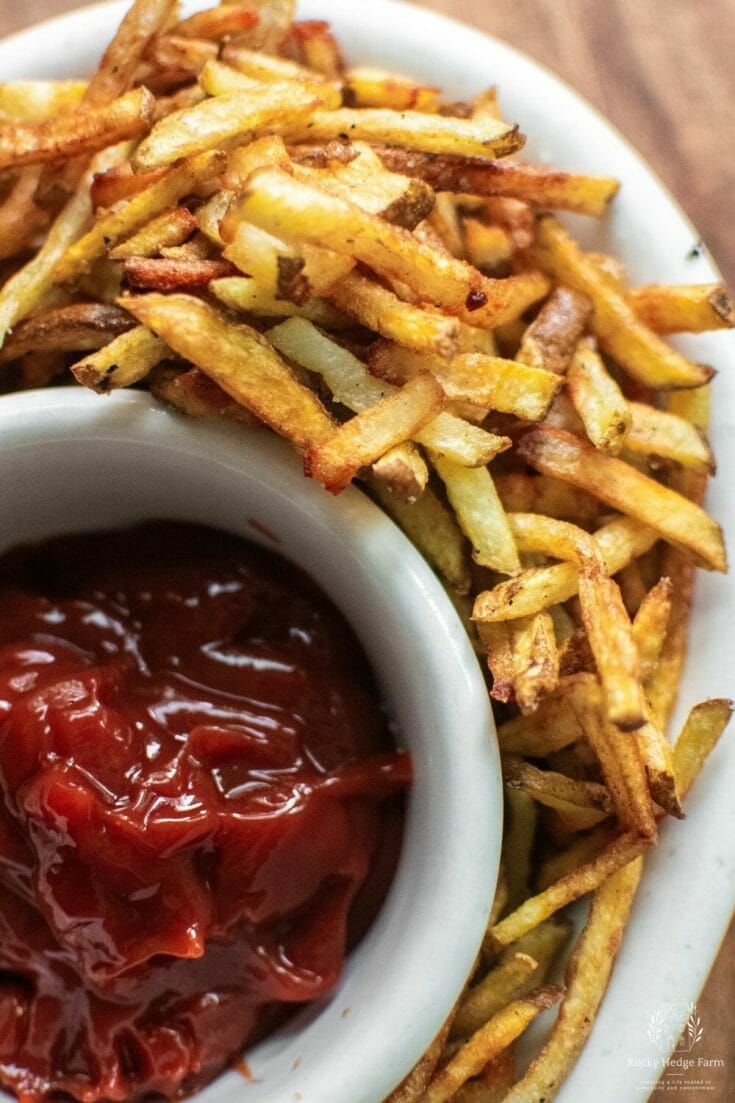 homemade french fries with ketchup