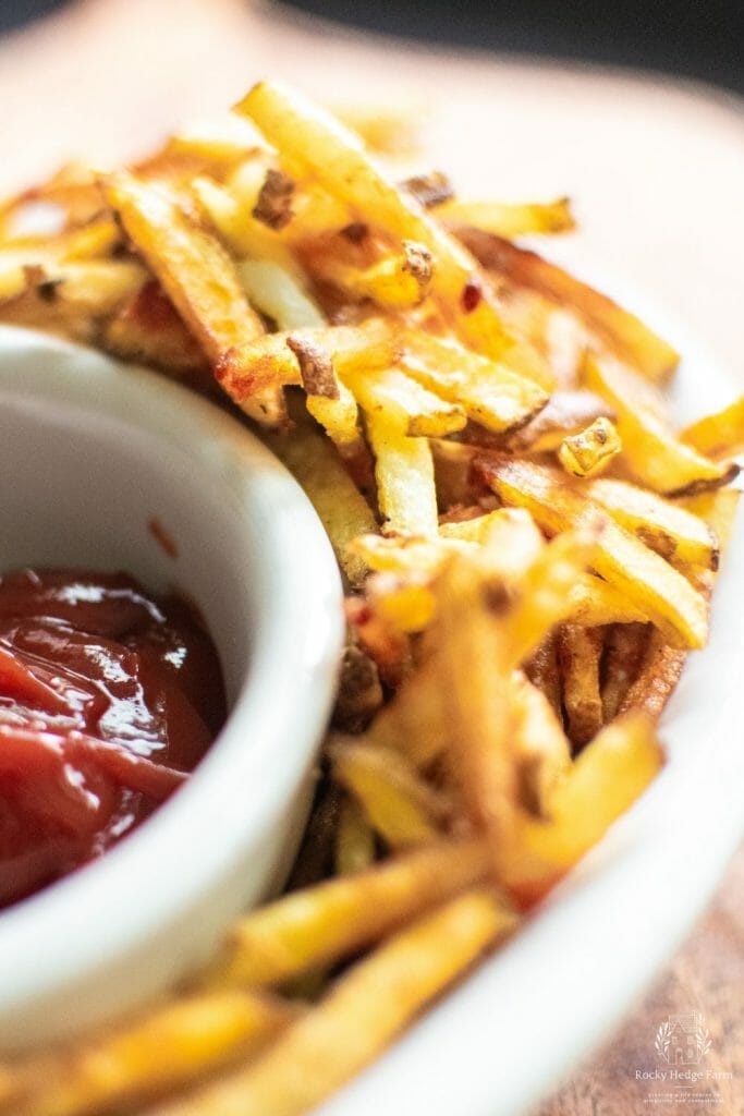 homemade french fries and ketchup