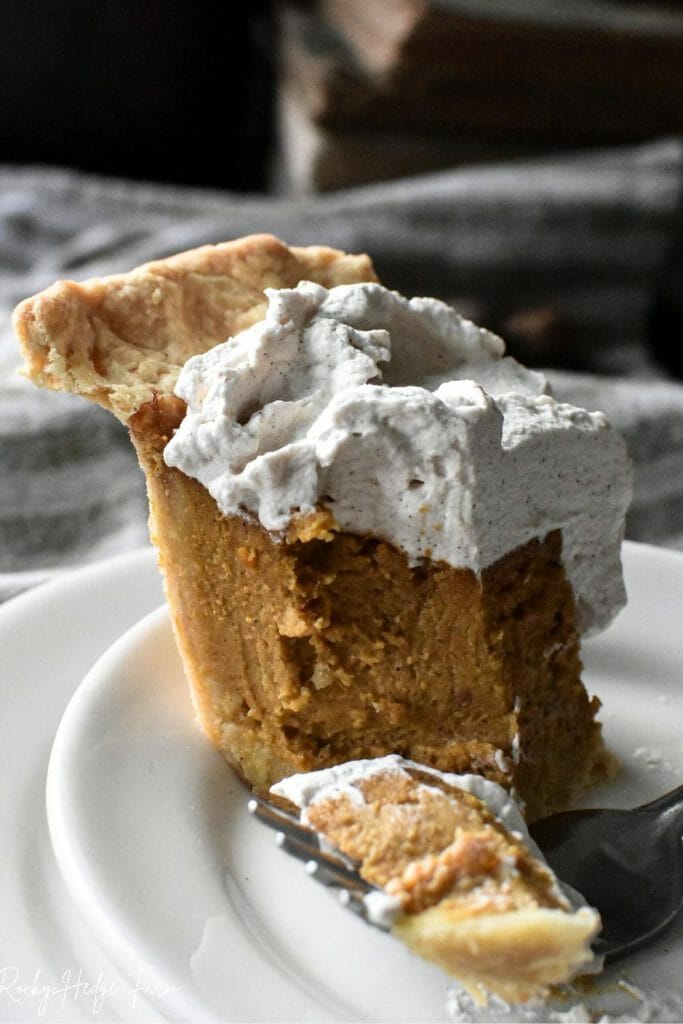 A slice of pumpkin pie with maple whipped cream