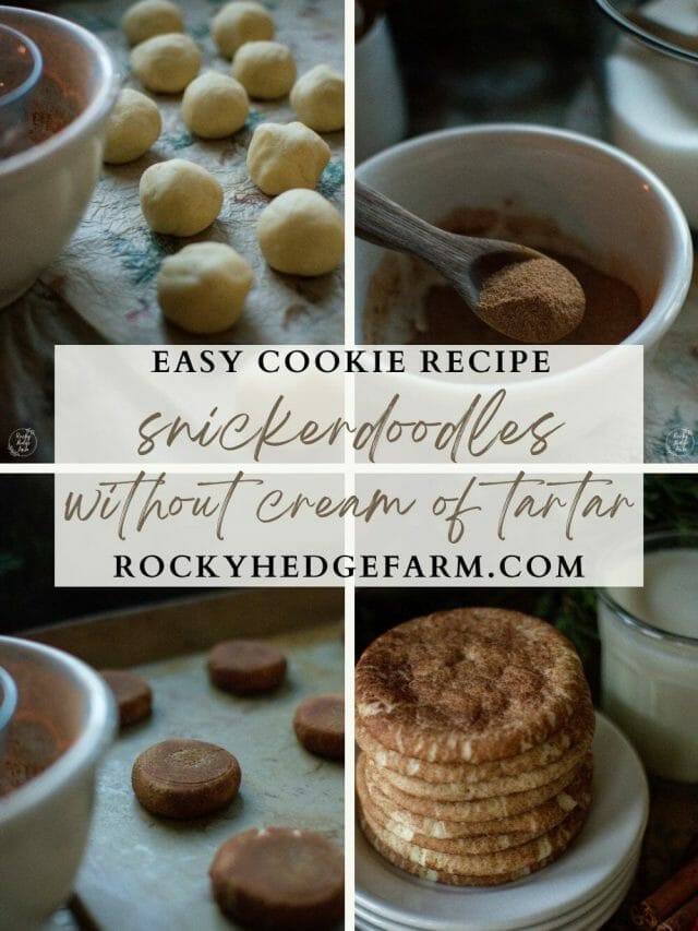 snickerdoodle-recipe-without-cream-of-tartar