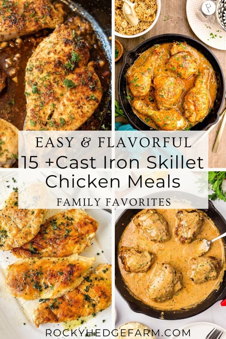 15 Must Try Chicken Recipes for Your Cast Iron Skillet